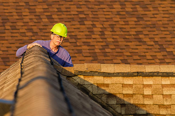 Roof Gutter Cleaning in Passapatanzy, VA